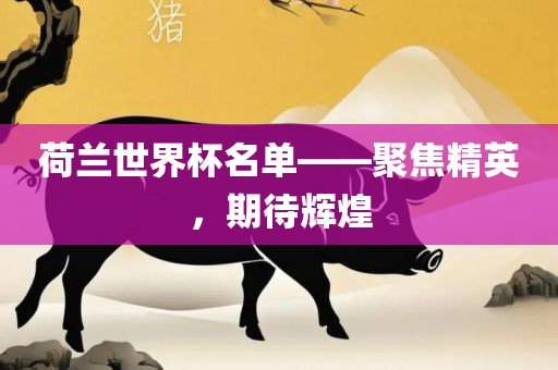 荷兰世界杯名单——聚焦精英，期待辉煌