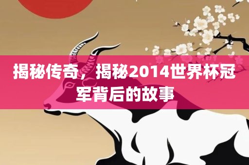揭秘传奇，揭秘2014世界杯冠军背后的故事