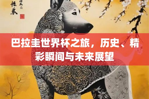 巴拉圭世界杯之旅，历史、精彩瞬间与未来展望