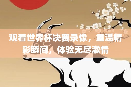 观看世界杯决赛录像，重温精彩瞬间，体验无尽激情
