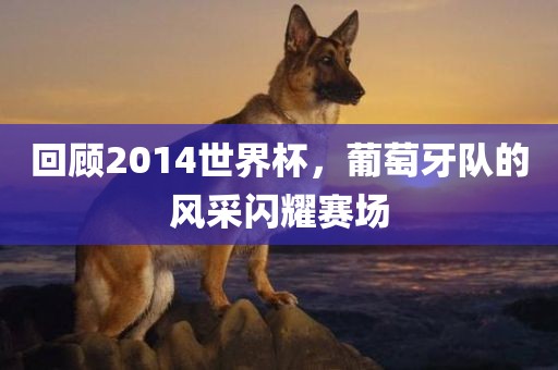 回顾2014世界杯，葡萄牙队的风采闪耀赛场