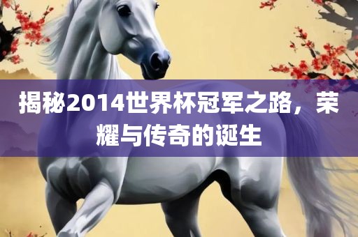 揭秘2014世界杯冠军之路，荣耀与传奇的诞生