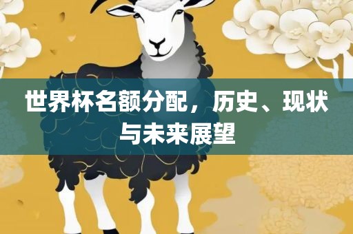 世界杯名额分配，历史、现状与未来展望