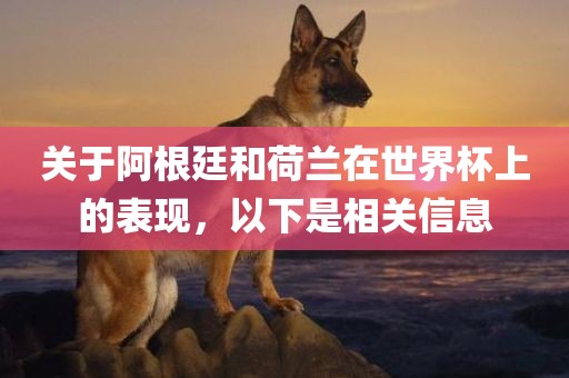 关于阿根廷和荷兰在世界杯上的表现，以下是相关信息