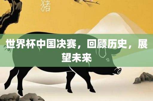 世界杯中国决赛，回顾历史，展望未来