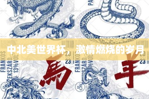 中北美世界杯，激情燃烧的岁月