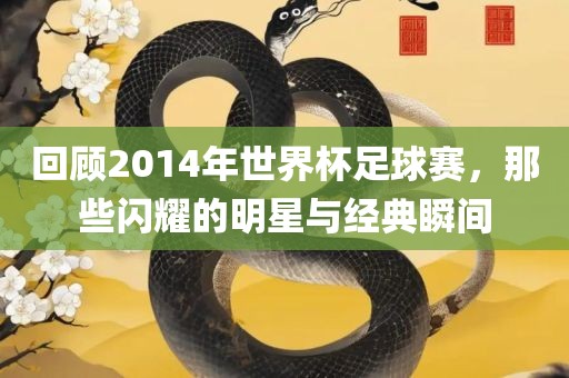 回顾2014年世界杯足球赛，那些闪耀的明星与经典瞬间
