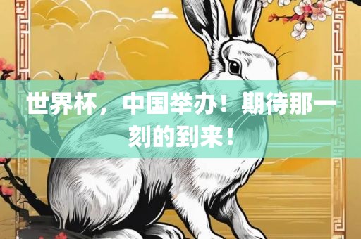 世界杯，中国举办！期待那一刻的到来！