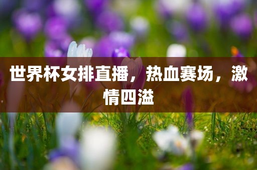 世界杯女排直播，热血赛场，激情四溢