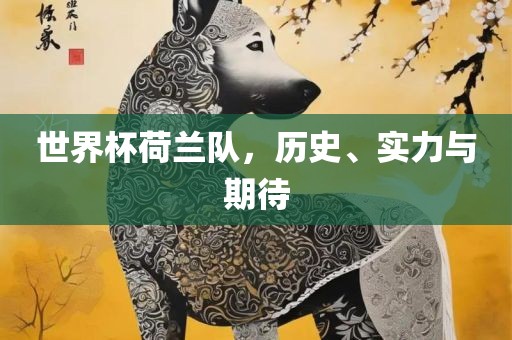 世界杯荷兰队，历史、实力与期待