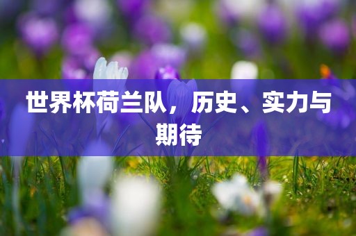世界杯荷兰队，历史、实力与期待