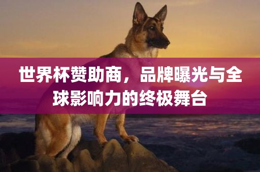 世界杯赞助商，品牌曝光与全球影响力的终极舞台