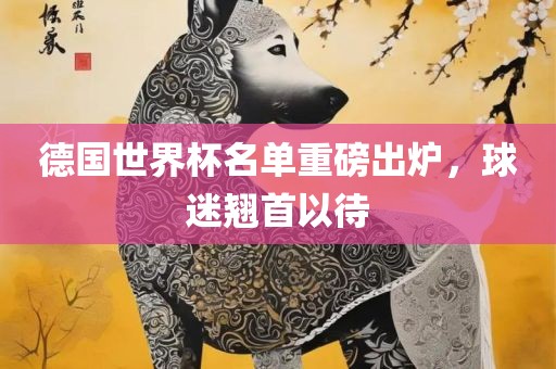 德国世界杯名单重磅出炉，球迷翘首以待