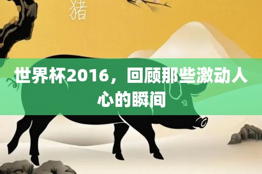 世界杯2016，回顾那些激动人心的瞬间