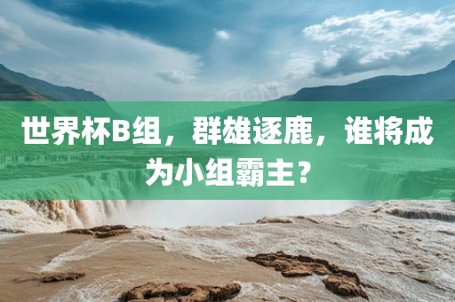 世界杯B组，群雄逐鹿，谁将成为小组霸主？