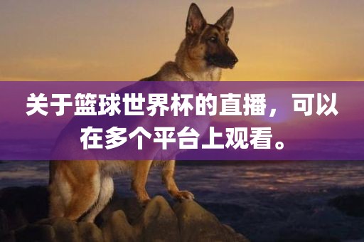 关于篮球世界杯的直播，可以在多个平台上观看。