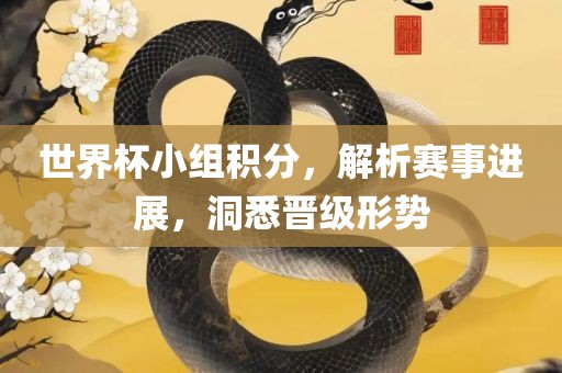 世界杯小组积分，解析赛事进展，洞悉晋级形势