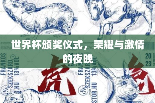 世界杯颁奖仪式，荣耀与激情的夜晚