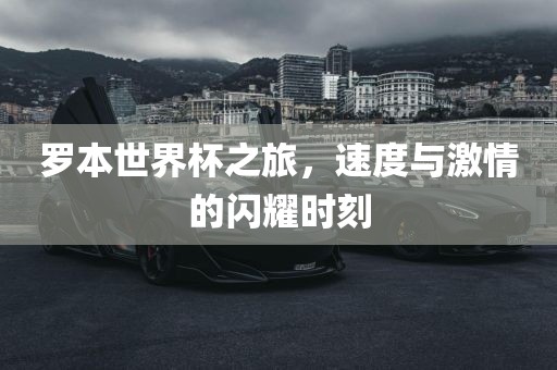 罗本世界杯之旅，速度与激情的闪耀时刻