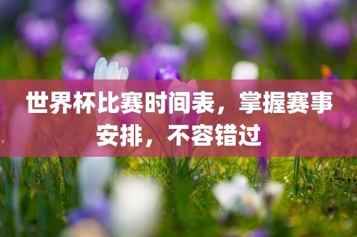 世界杯比赛时间表，掌握赛事安排，不容错过