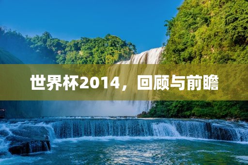 世界杯2014，回顾与前瞻
