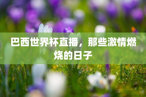 巴西世界杯直播，那些激情燃烧的日子