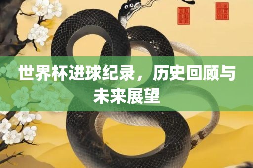 世界杯进球纪录，历史回顾与未来展望