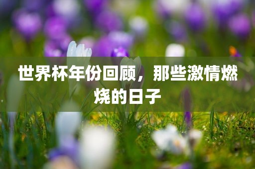 世界杯年份回顾，那些激情燃烧的日子