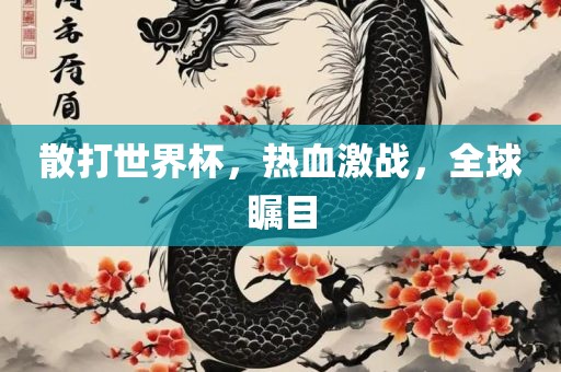 散打世界杯，热血激战，全球瞩目