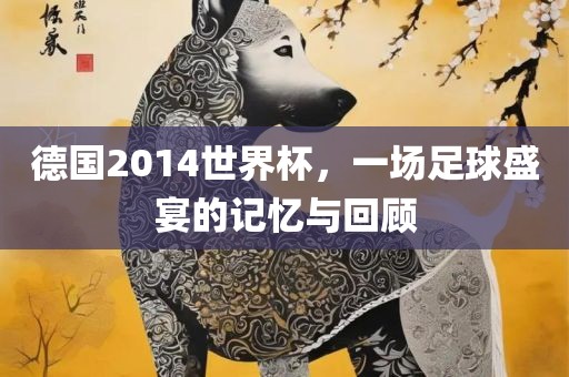 德国2014世界杯，一场足球盛宴的记忆与回顾