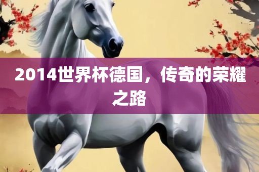 2014世界杯德国，传奇的荣耀之路