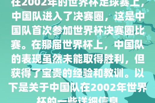在2002年的世界杯足球赛上，中国队进入了决赛圈，这是中国队首次参加世界杯决赛圈比赛。在那届世界杯上，中国队的表现虽然未能取得胜利，但获得了宝贵的经验和教训。以下是关于中国队在2002年世界杯的一些详细信息