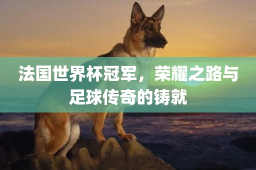 法国世界杯冠军，荣耀之路与足球传奇的铸就
