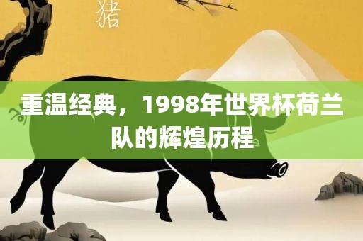 重温经典，1998年世界杯荷兰队的辉煌历程