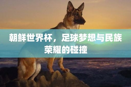 朝鲜世界杯，足球梦想与民族荣耀的碰撞