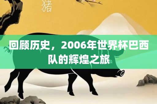 回顾历史，2006年世界杯巴西队的辉煌之旅