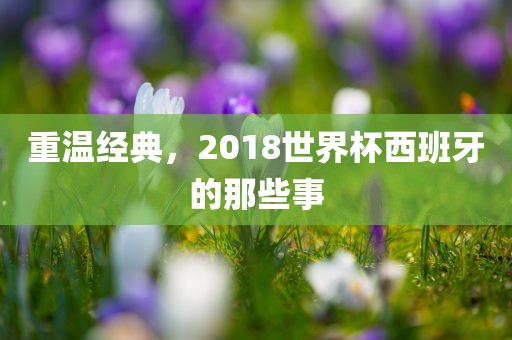 重温经典，2018世界杯西班牙的那些事