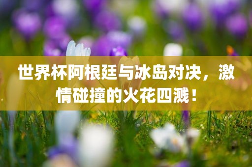世界杯阿根廷与冰岛对决，激情碰撞的火花四溅！