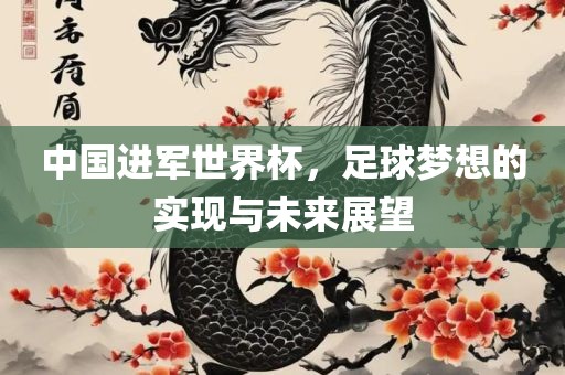 中国进军世界杯，足球梦想的实现与未来展望