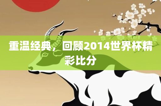 重温经典，回顾2014世界杯精彩比分