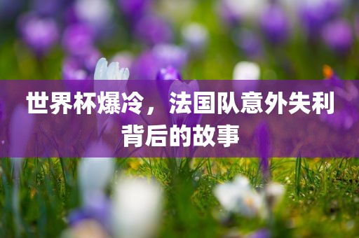 世界杯爆冷，法国队意外失利背后的故事