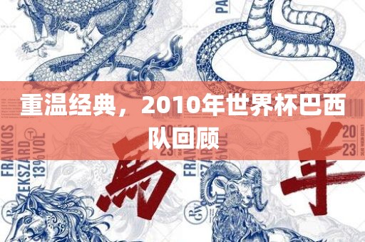 重温经典，2010年世界杯巴西队回顾