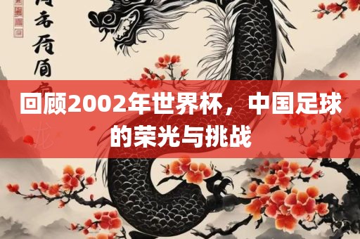 回顾2002年世界杯，中国足球的荣光与挑战