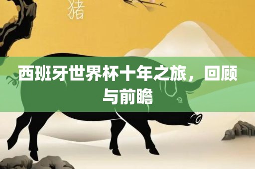 西班牙世界杯十年之旅，回顾与前瞻