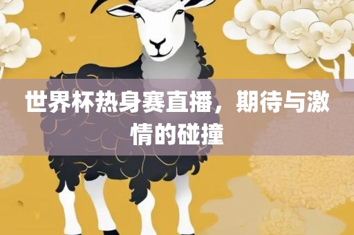 世界杯热身赛直播，期待与激情的碰撞