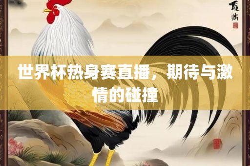 世界杯热身赛直播，期待与激情的碰撞