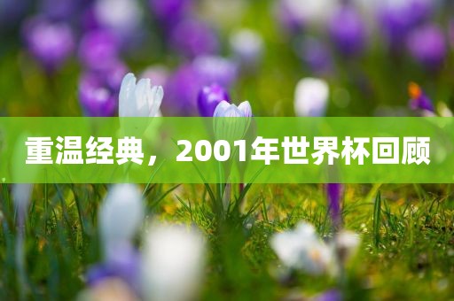 重温经典，2001年世界杯回顾