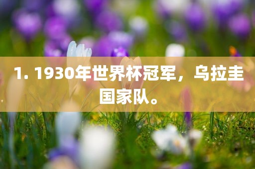 1. 1930年世界杯冠军，乌拉圭国家队。