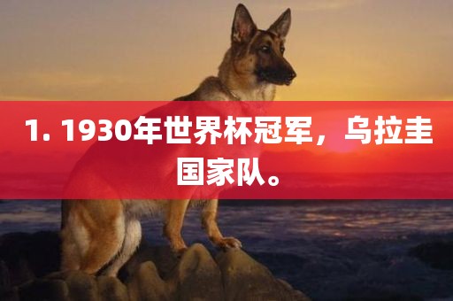 1. 1930年世界杯冠军，乌拉圭国家队。