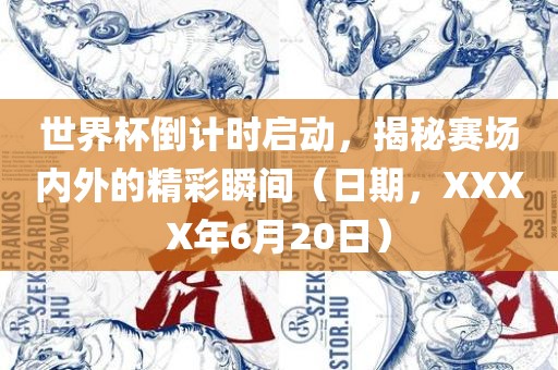 世界杯倒计时启动，揭秘赛场内外的精彩瞬间（日期，XXXX年6月20日）